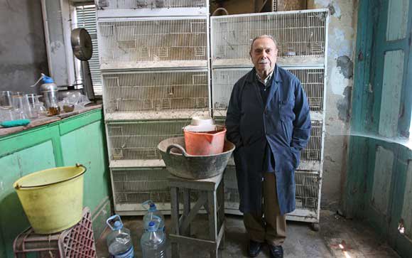 Tienda Casa Crespo 3