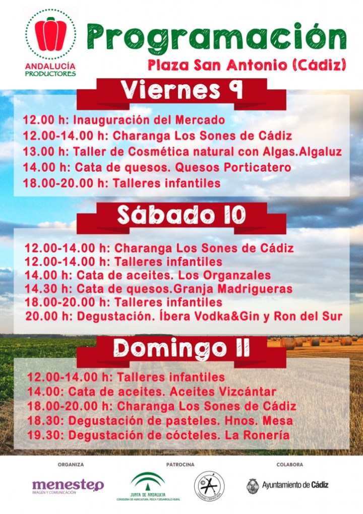 programacion-ap-724x1024