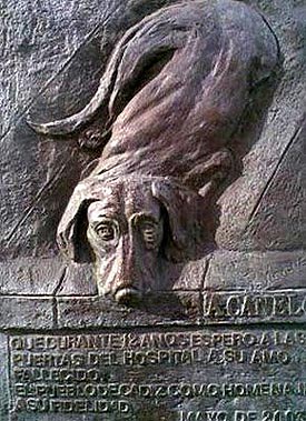 canelo3_gentede_cadiz