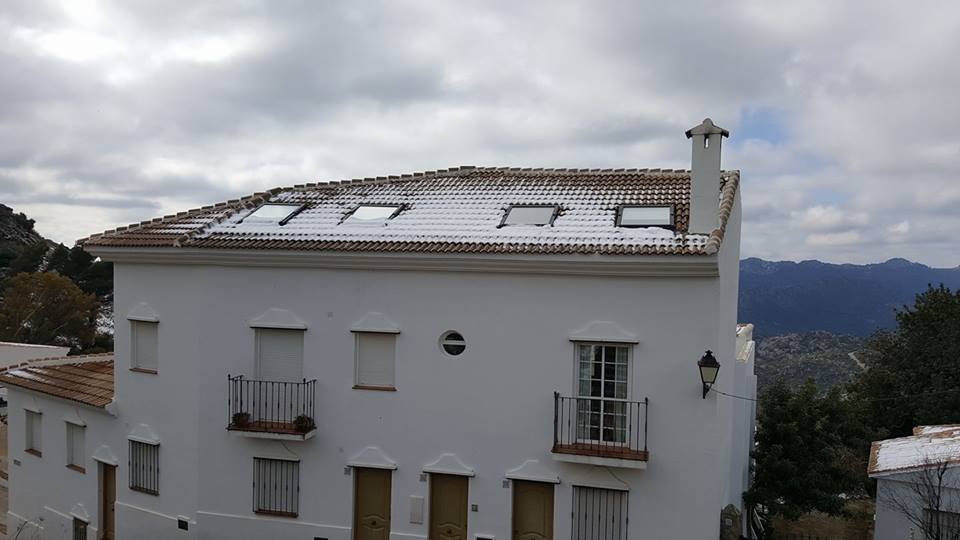 16114914_10202485648779102_7309804930583430093_n