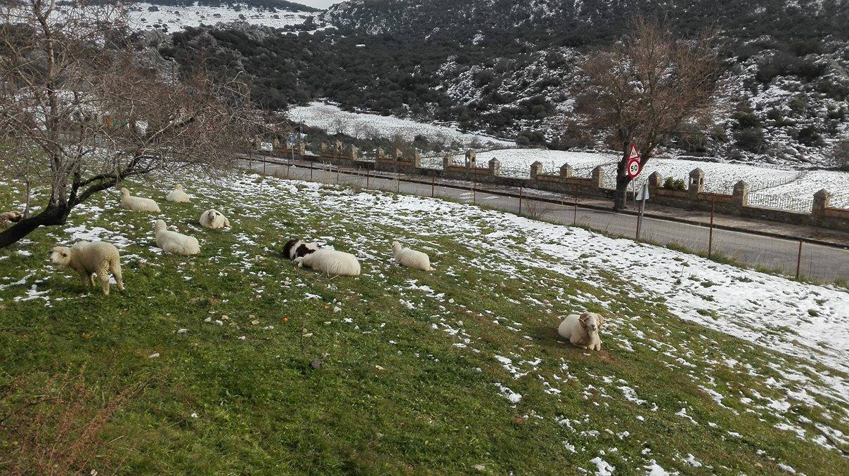 16357929_1834423196835968_139893561_o